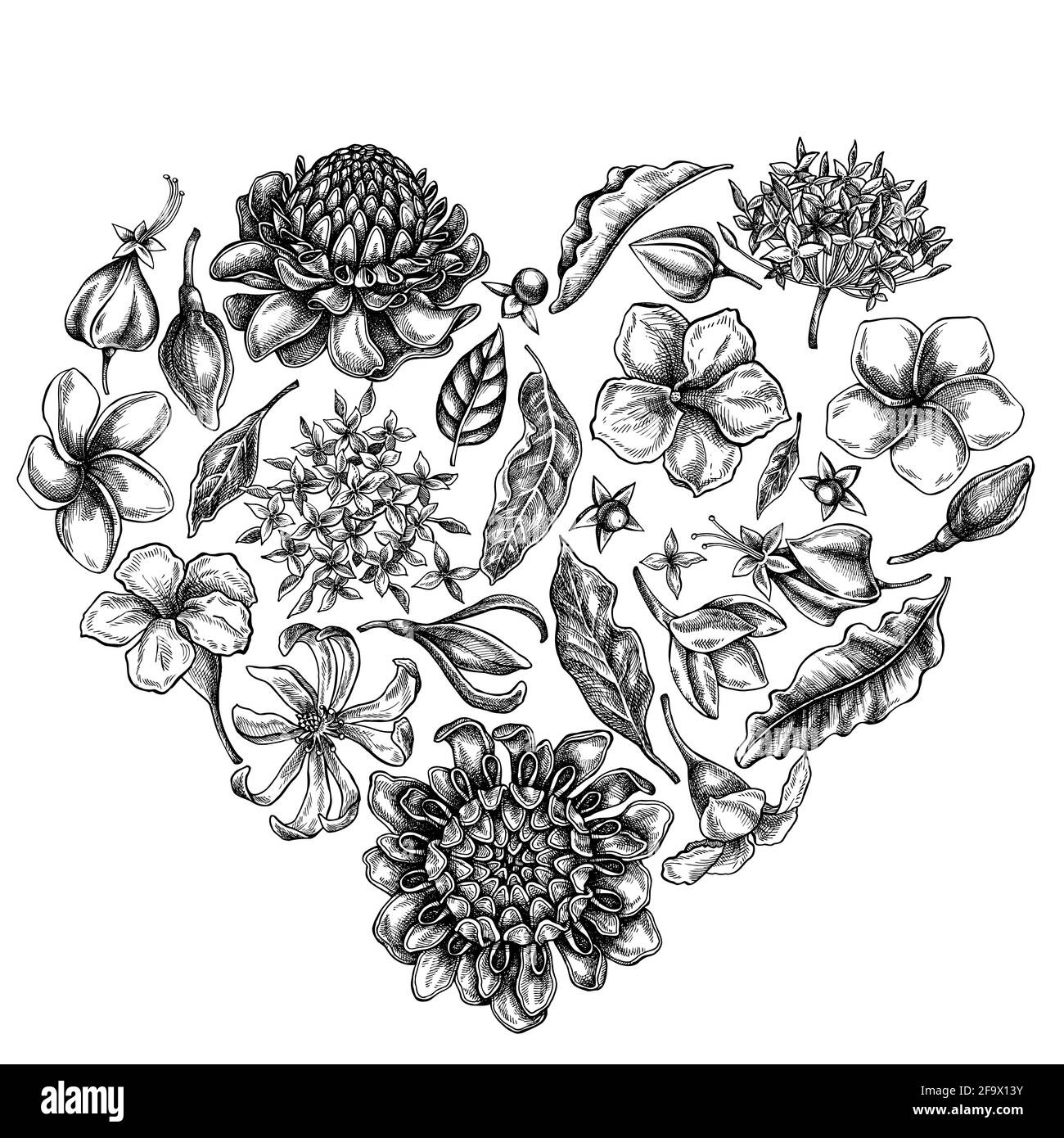 Heart floral design with black and white plumeria, allamanda, clerodendrum, champak, etlingera, ixora Stock Vector