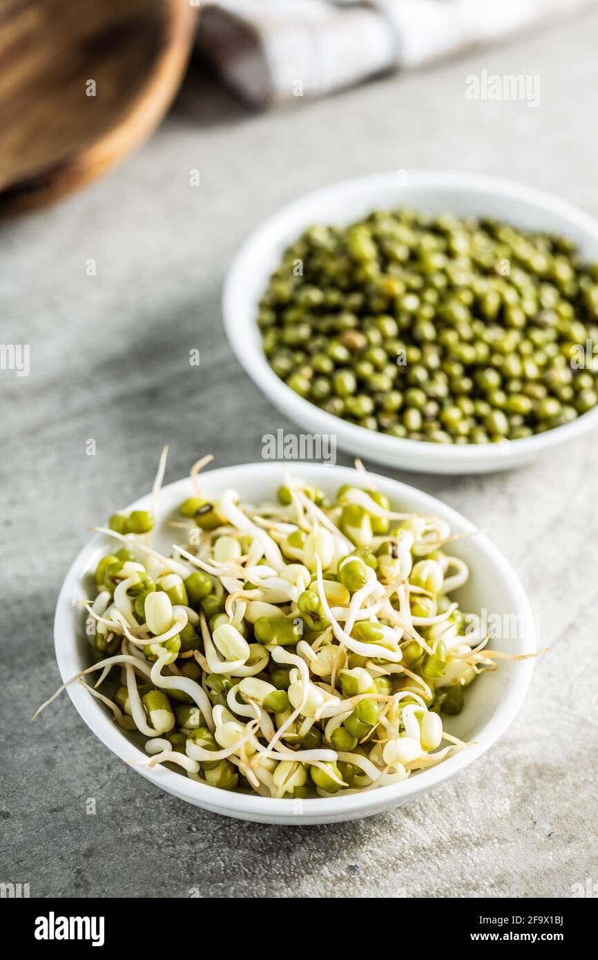 Sprouted green mung beans and dried beans in bowl. Mung sprouts on