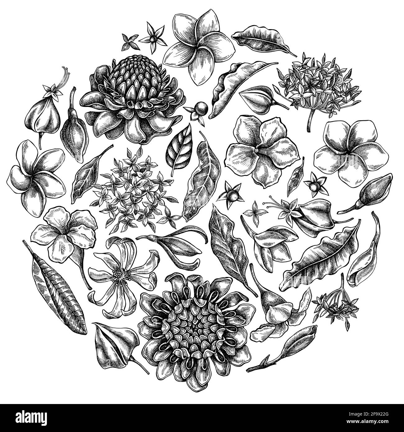 Round floral design with black and white plumeria, allamanda, clerodendrum, champak, etlingera, ixora Stock Vector