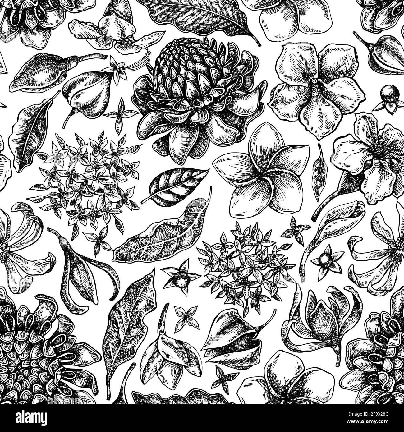 Seamless pattern with black and white plumeria, allamanda, clerodendrum, champak, etlingera, ixora Stock Vector