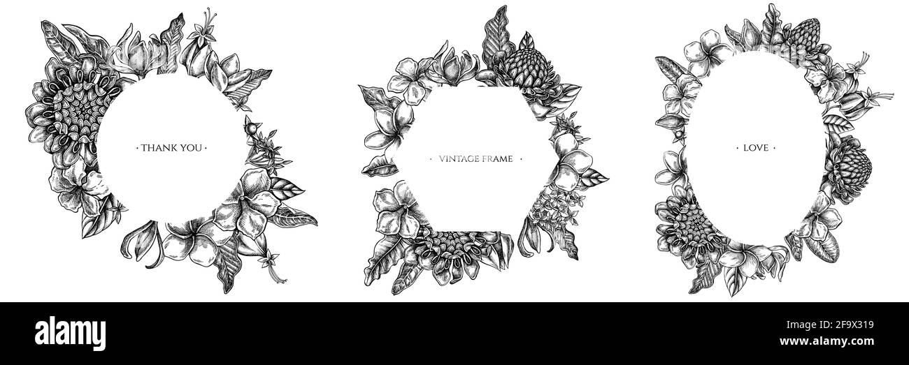 Floral frames with black and white plumeria, allamanda, clerodendrum, champak, etlingera, ixora Stock Vector