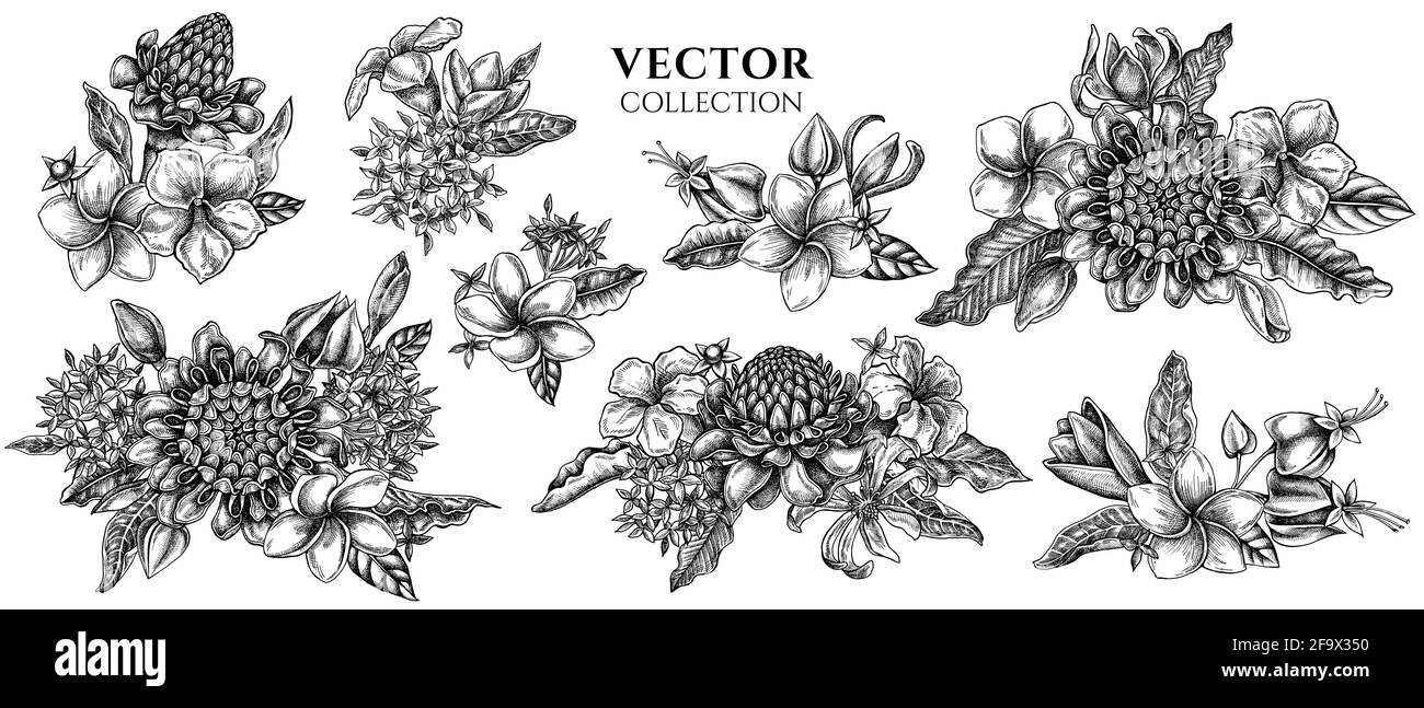 Flower bouquet of black and white plumeria, allamanda, clerodendrum, champak, etlingera, ixora Stock Vector