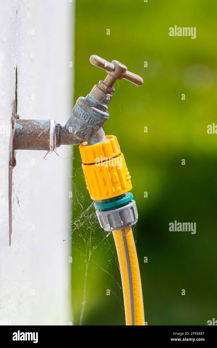 Outdoor water tap faucet with garden hose attached for watering