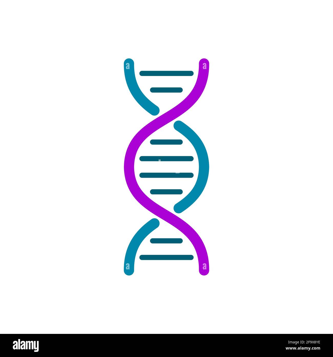 Colorful DNA icon. Simple DNA helix on white background. Genetic material symbol. Blue and purple DNA spiral molecule. Human genome design element. Stock Vector