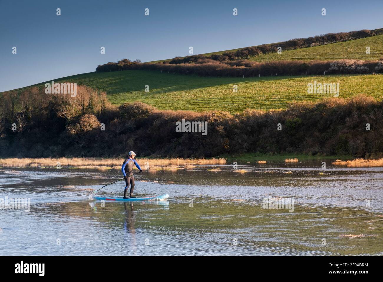 Evening light over a Stand Up Paddleboarder paddling downriver on the The Gannel River at high tide in Newquay in Cornwall. Stock Photo