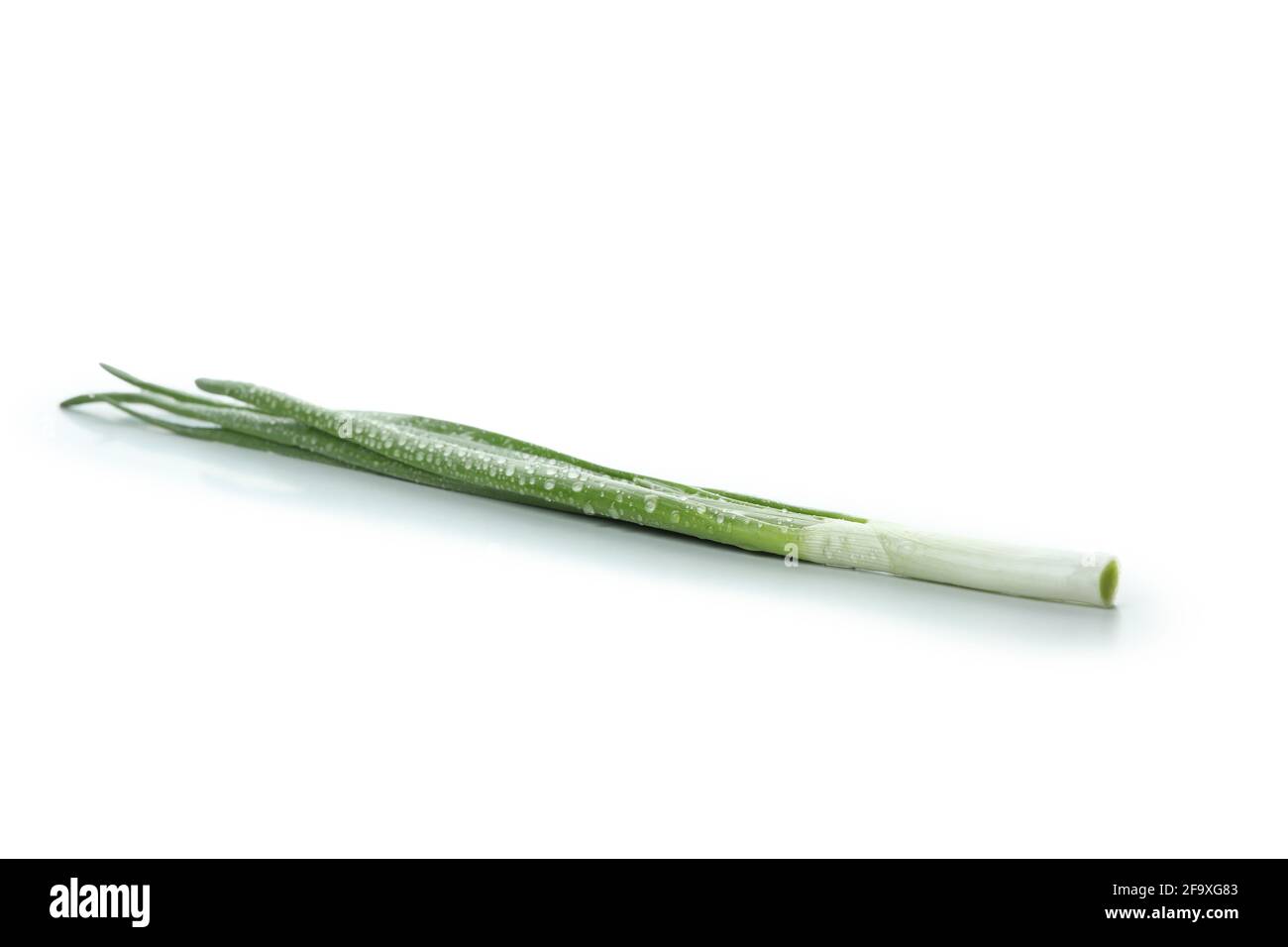 Fresh green onion isolated on white background Stock Photo - Alamy