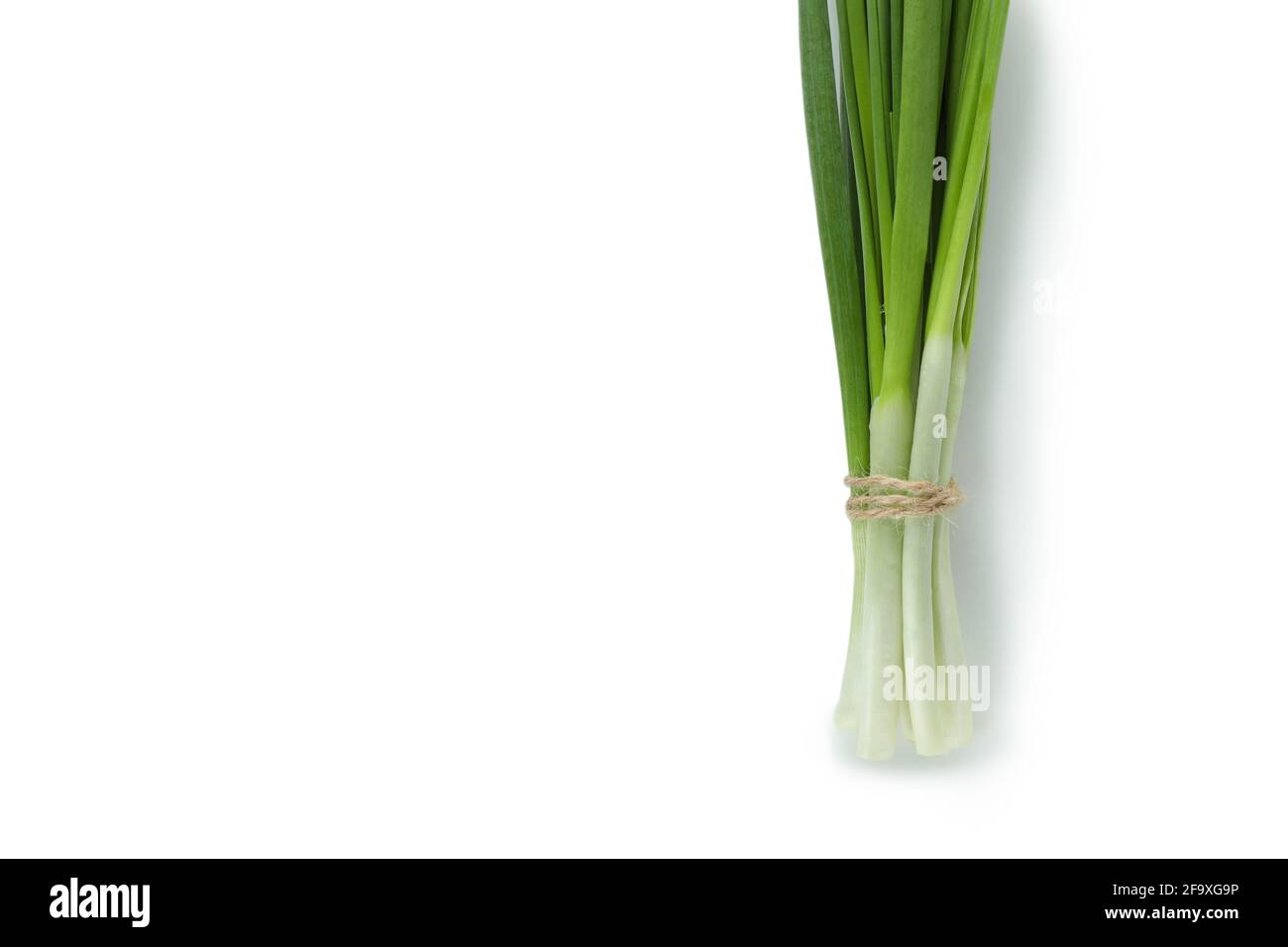 Young green onion leaf Cut Out Stock Images & Pictures - Alamy