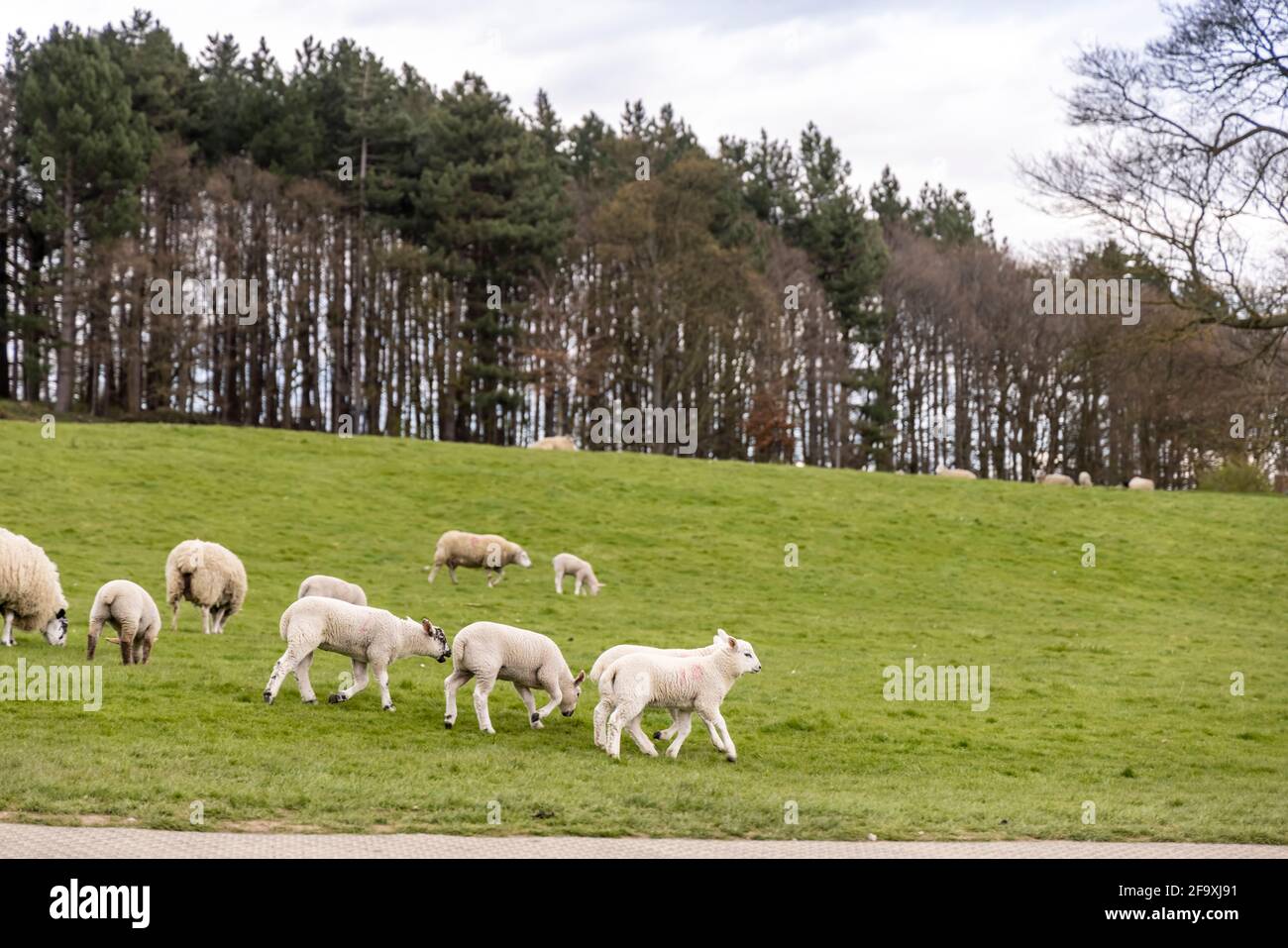 Spring time in new england hi-res stock photography and images - Alamy