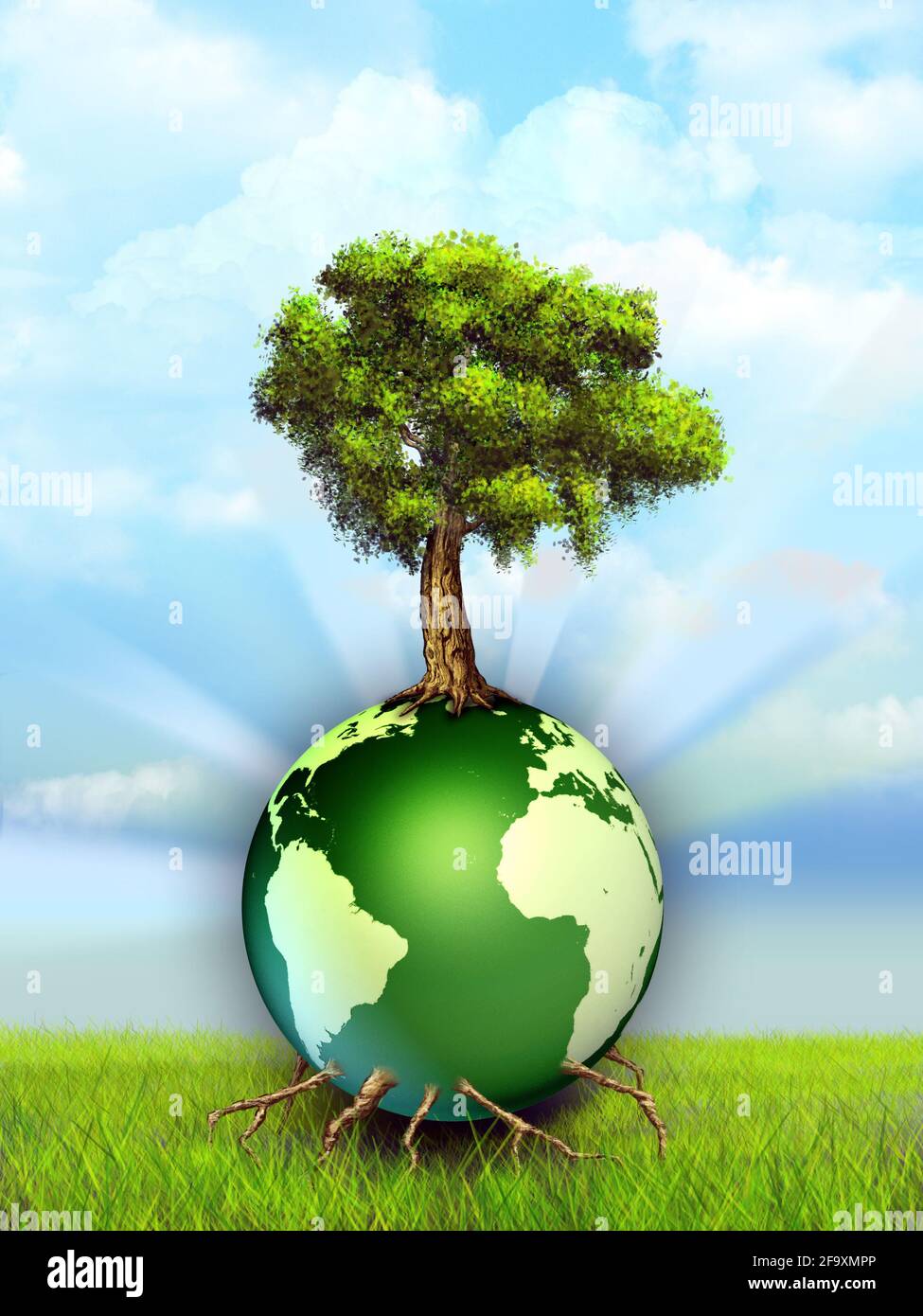 A tree growing on our Earth, beautiful sky on background