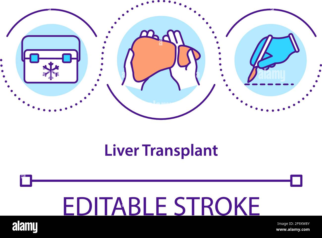 Liver transplant concept icon Stock Vector Image & Art Alamy