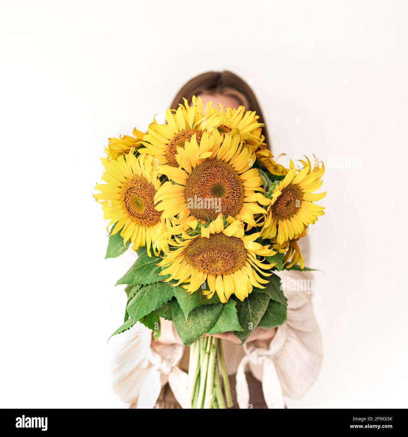 Beautiful young woman in linen dress holding sunflowers bouquet on white background. Autumn concept. Stock Photo