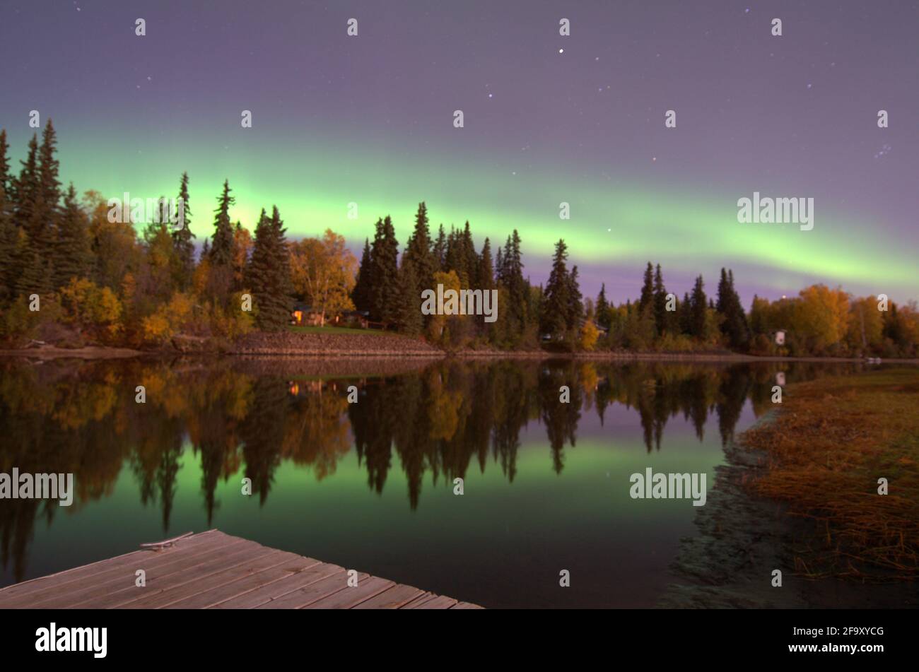 Northern Lights, Lake showing reflections on water - Alaska. Pine trees and reflections in still water of lake side. Aurora Borealis. Purples & Green Stock Photo