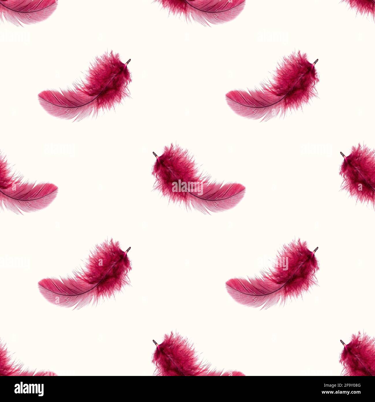 Dark pink bird feather repeat seamless pattern on light background. Stock Photo
