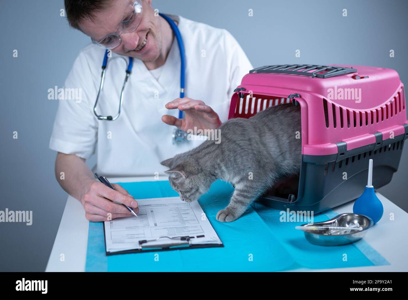 Cat in pet carrier on examination table of veterinarian clinic with pet doctor. Male