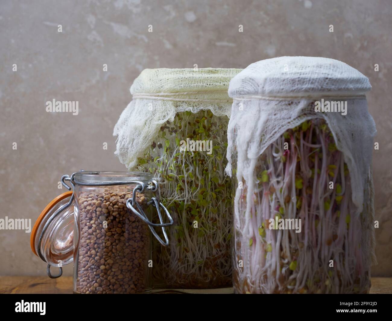 Glass jars filled with alfalfa and beet sprouts on a wooden cutting