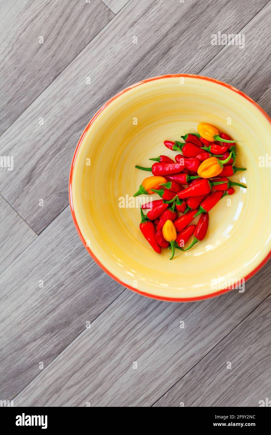 Homegrown apache chillies, orange jalapenos in a yellow bowl Stock Photo