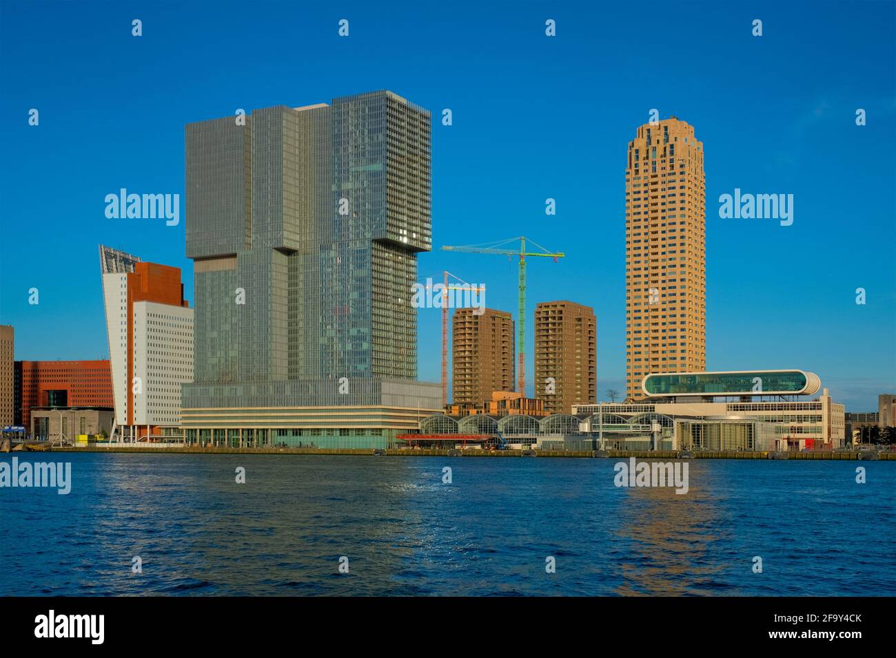 Rotterdam skyscrapers skyline view over of Nieuwe Maas river. Rotterdam Stock Photo