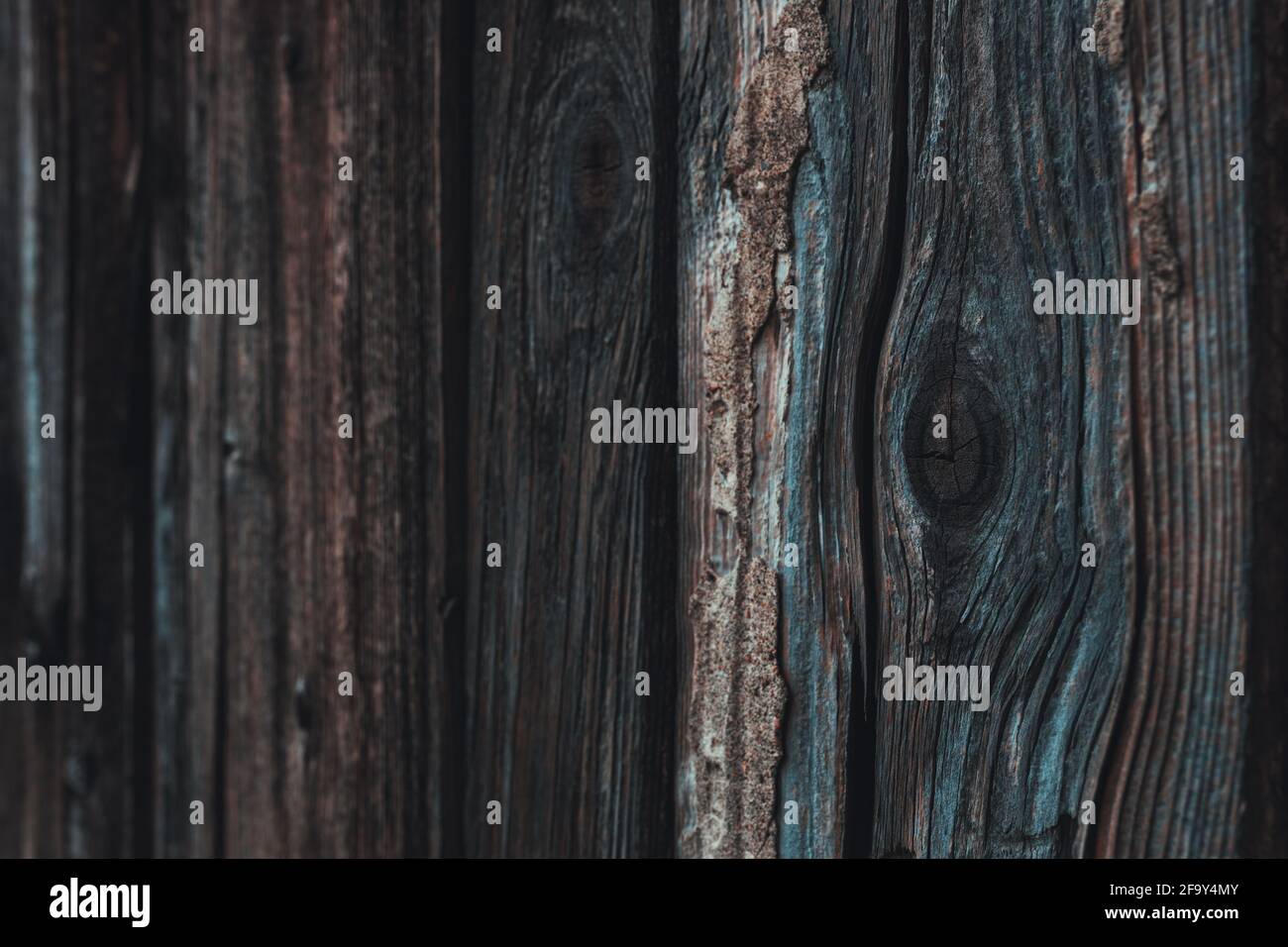 Wood knot on worn wooden plank, selective focus with blurred part as copy space background Stock Photo