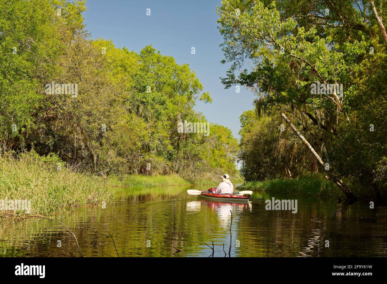 man in kayak, sport, recreation, leisure, Zipper Canal, narrow waterway, connects 2 lakes, woods, green vegetation, Lake Kissimmee State Park, Florida Stock Photo