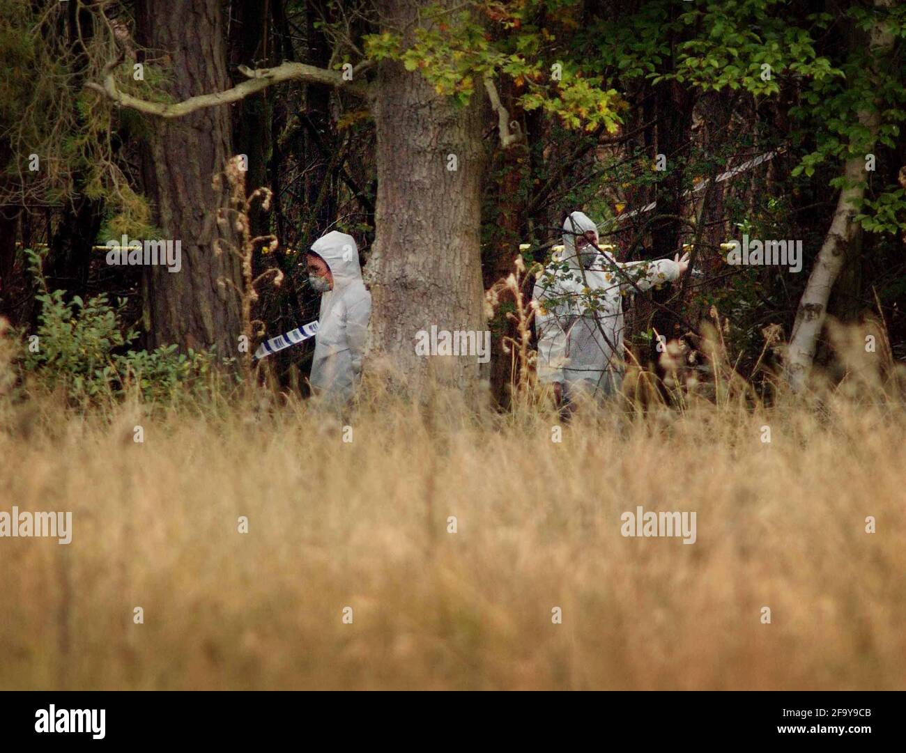 POLICE EXAMINING HUMAN REMAINS IN A WOOD NR YATELEY IN HAMPSHIRE . 20/9/02 PILSTON Stock Photo