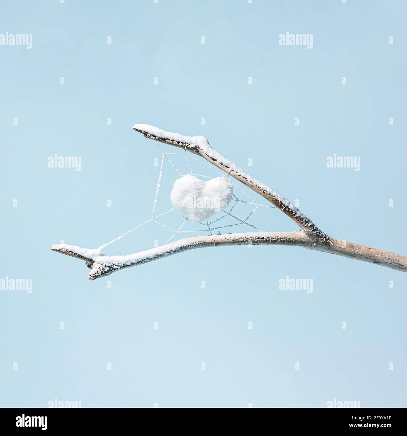 A white heart in a spider's web on a branch covered with snow isolated on a pastel blue background. Winter motif. Horizontal photo layout. Copy space. Stock Photo