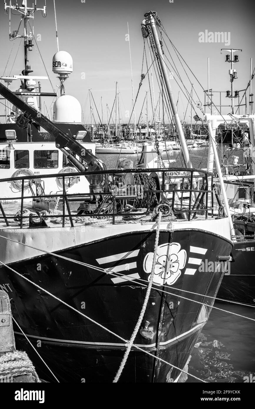 A fishing trawler is  moored alongside a quay and the yachts of a marina are beyond.  A clear sky is above. Stock Photo