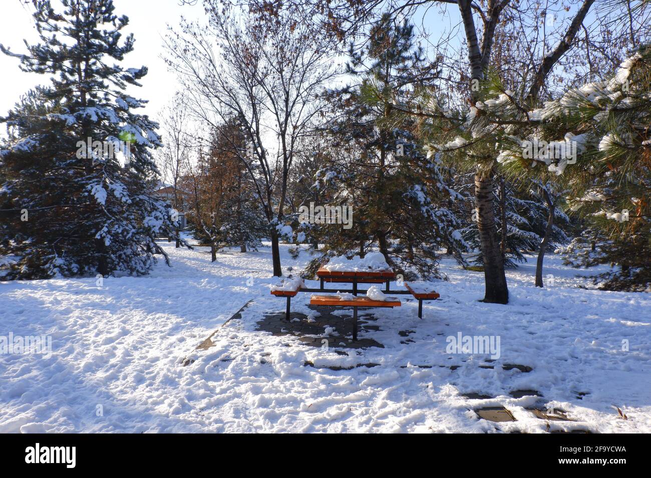 Walking Path to table and benches under snow Stock Photo