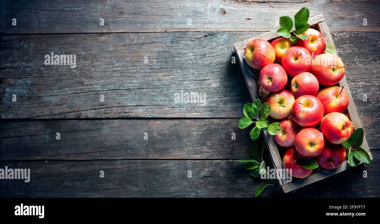 Ripe Apples In Wooden Basket On The Rustic Table Stock Photo