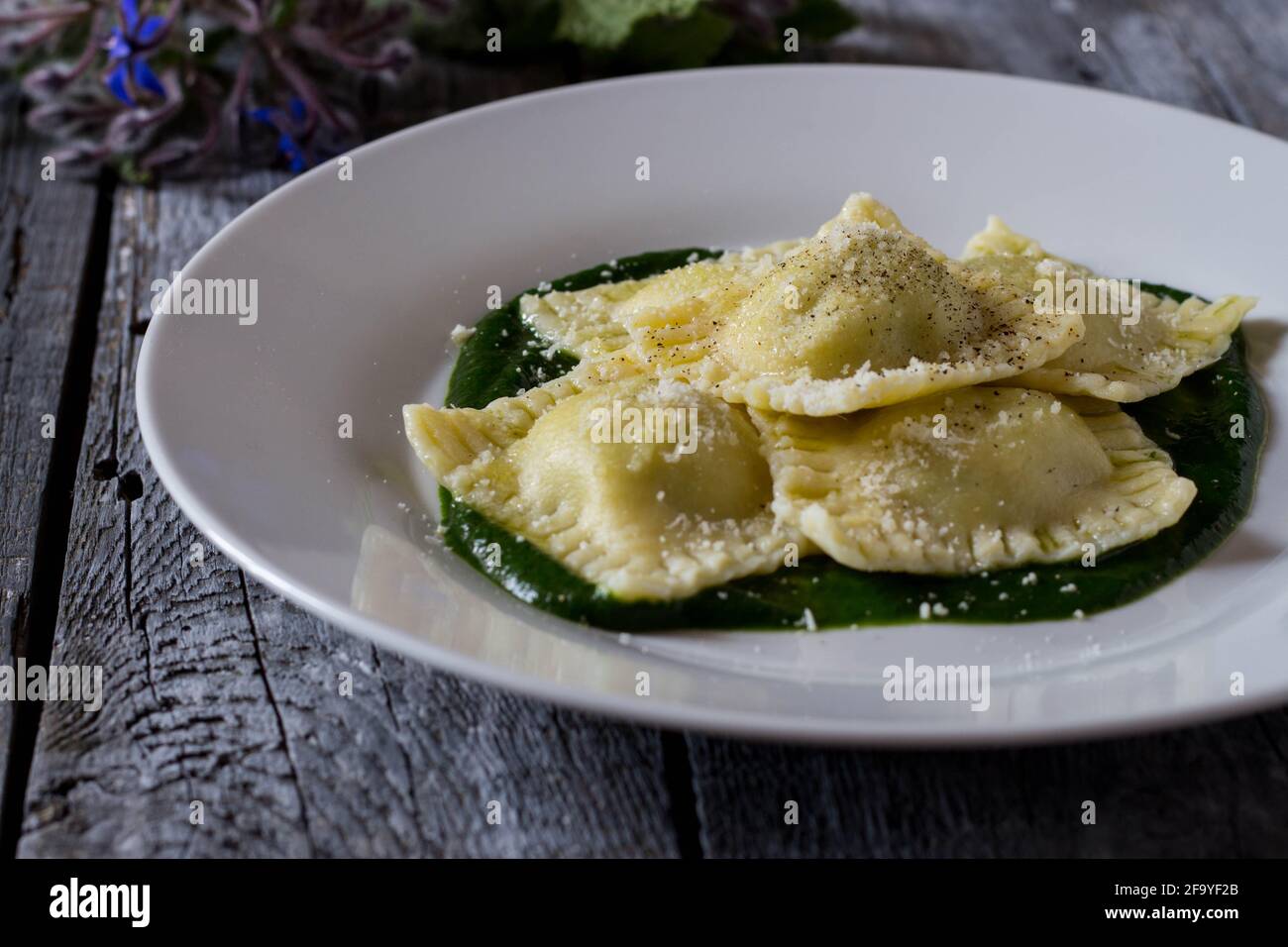 Ravioli borage hires stock photography and images Alamy