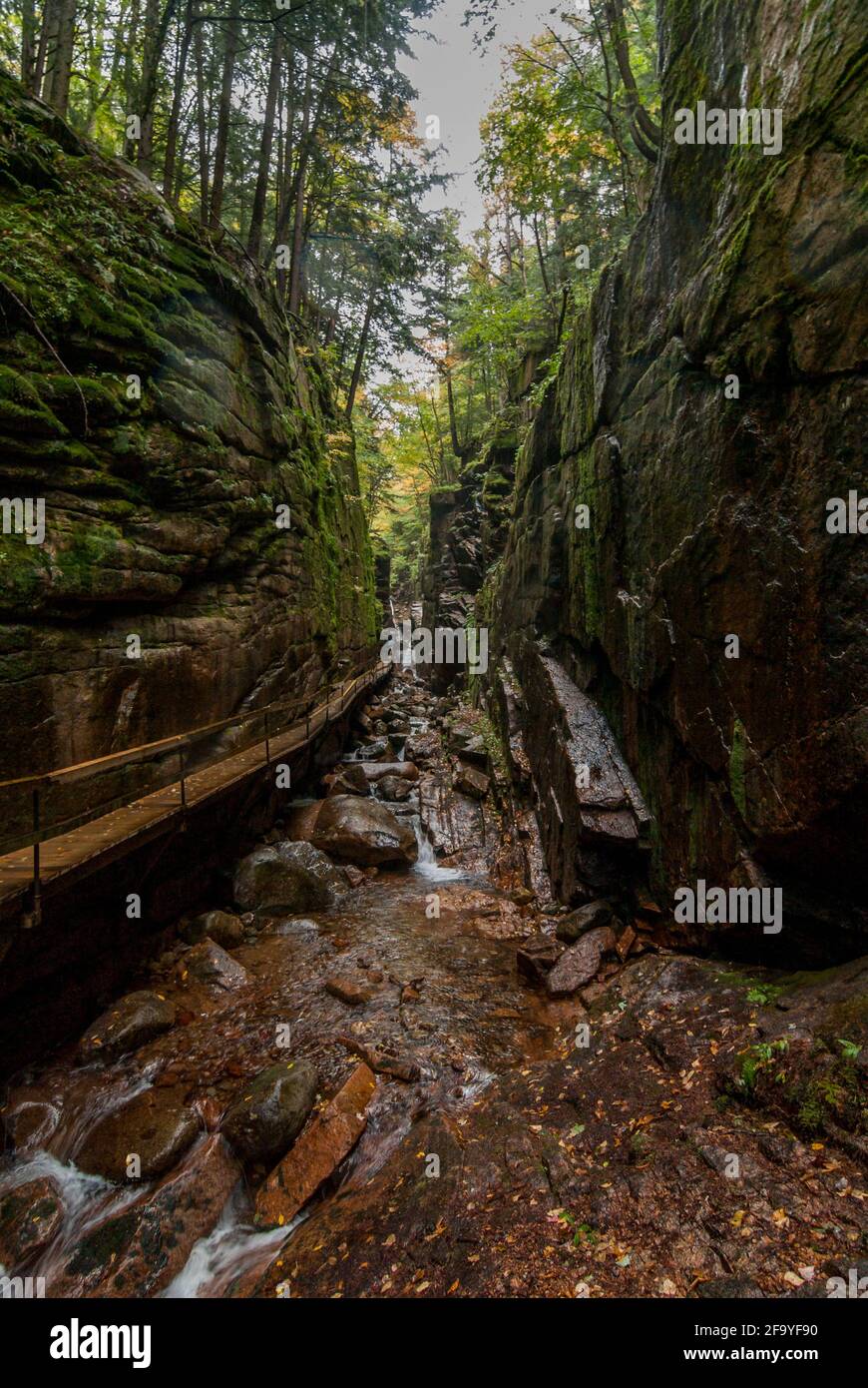 The steep, granite walls of Flume Gorge in Franconia Notch State Park, New Hampshire, USA, with the bed of the brook running through. Stock Photo