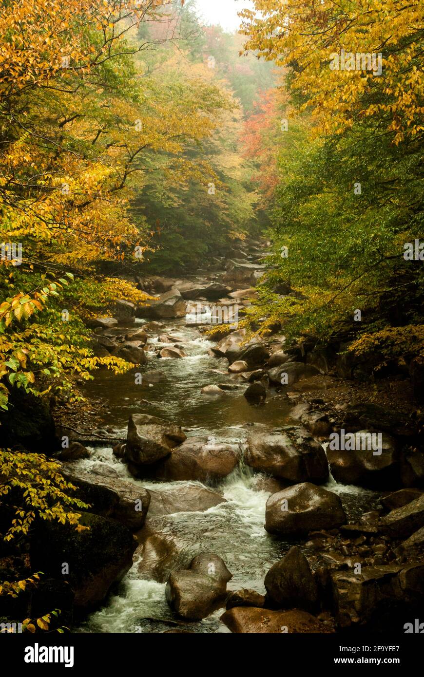 The Pemigewasset River in Franconia Notch State Park, New Hampshire, USA on a rainy day in autumn / fall. Stock Photo