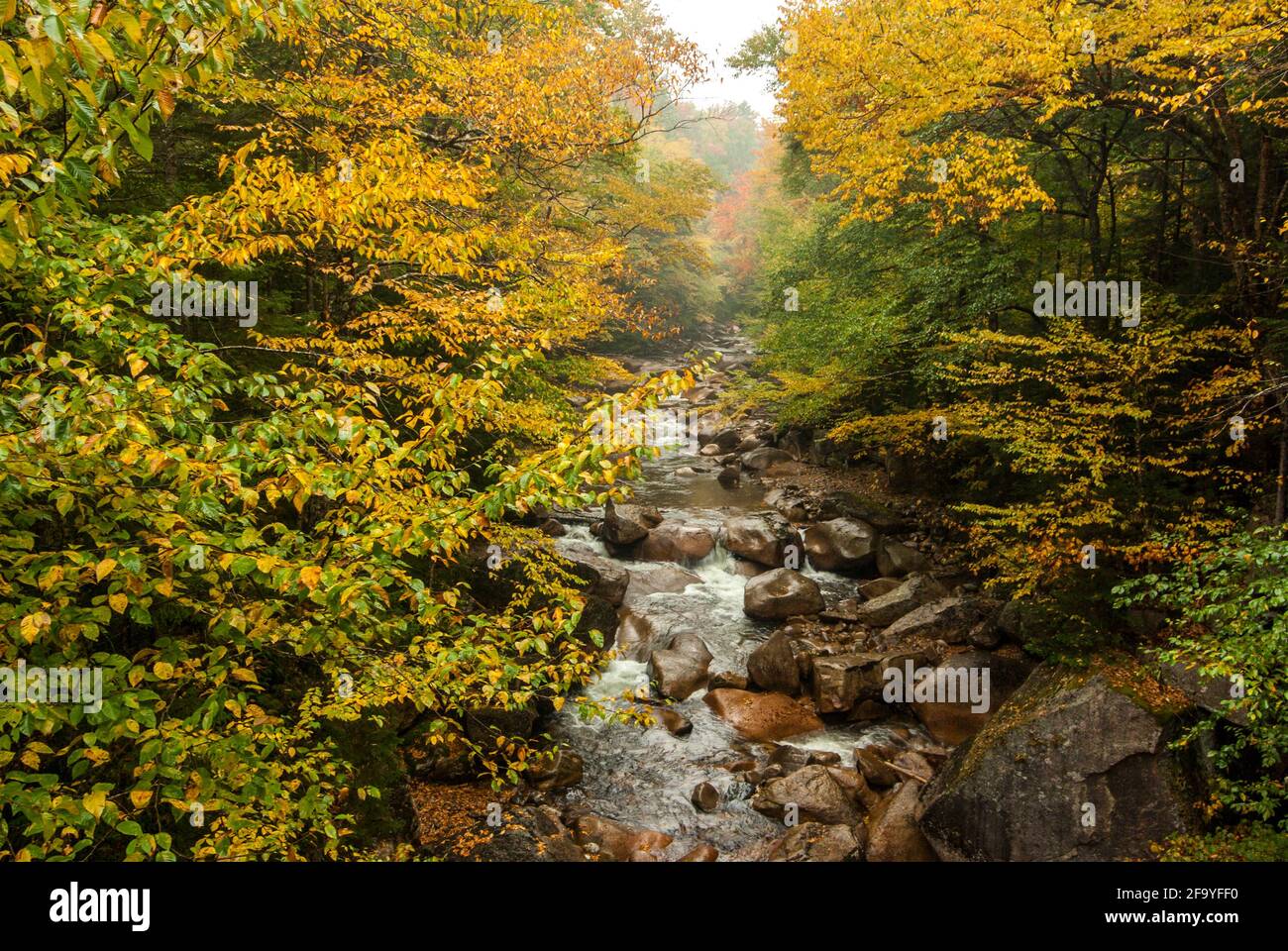 The  Pemigewasset River in Franconia Notch State Park, New Hampshire, USA on a rainy day in autumn / fall. Stock Photo