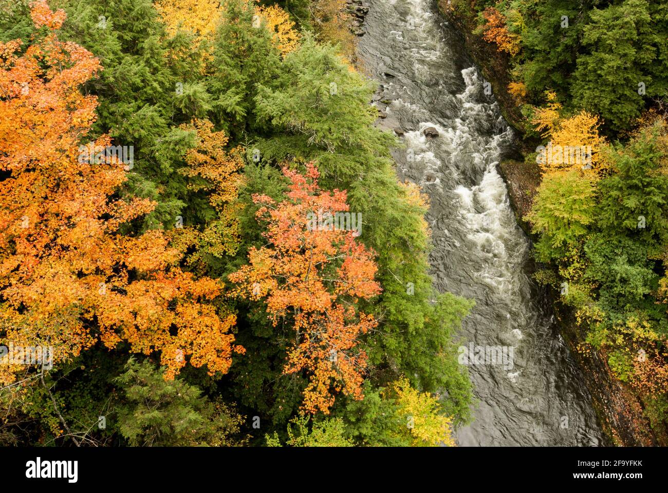 The Ottauquechee River running through Quechee Gorge, Vermont, USA in autumn / fall. Stock Photo