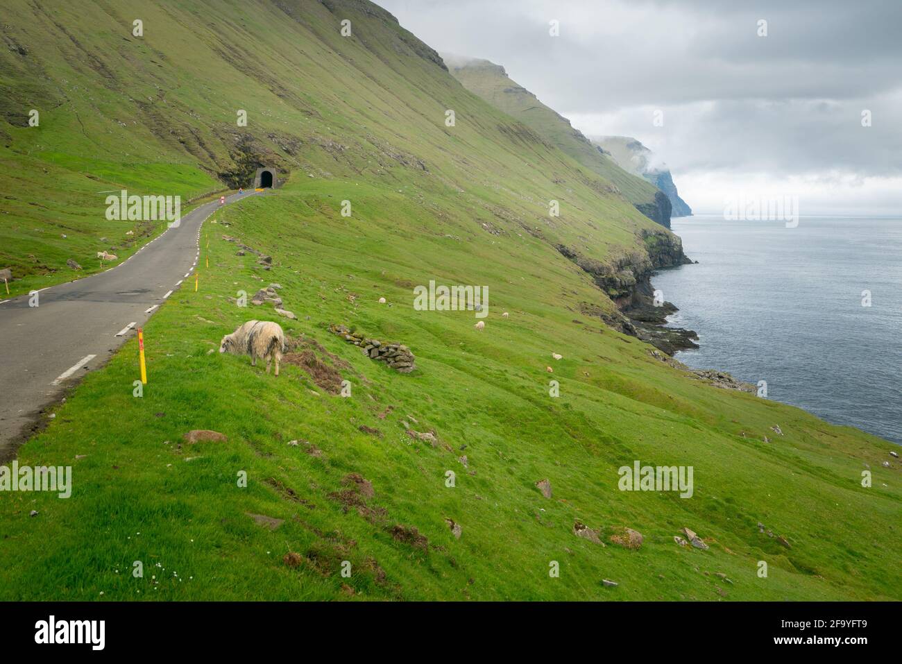 Narrow road leading into a tunnel on a steep slope of Kalsoy, Faroe Islans. Sheep feeding on grass next to the road. Ocean and cloudy sky. Distant hor Stock Photo