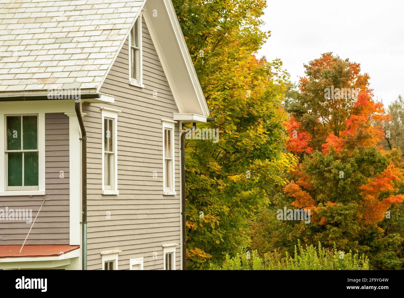 A white/ grey  (gray) clapperboard house in the Canterbury Shaker Village, New Hampshire, USA with autumn / fall foliage on the trees behind. Stock Photo