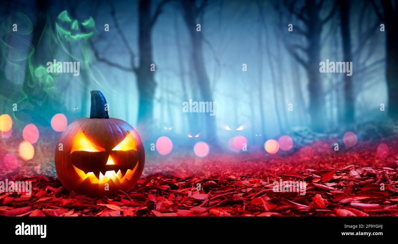 Pumpkin On Red Leaves In Spooky Forest With Ghost Smoke - Halloween Stock Photo