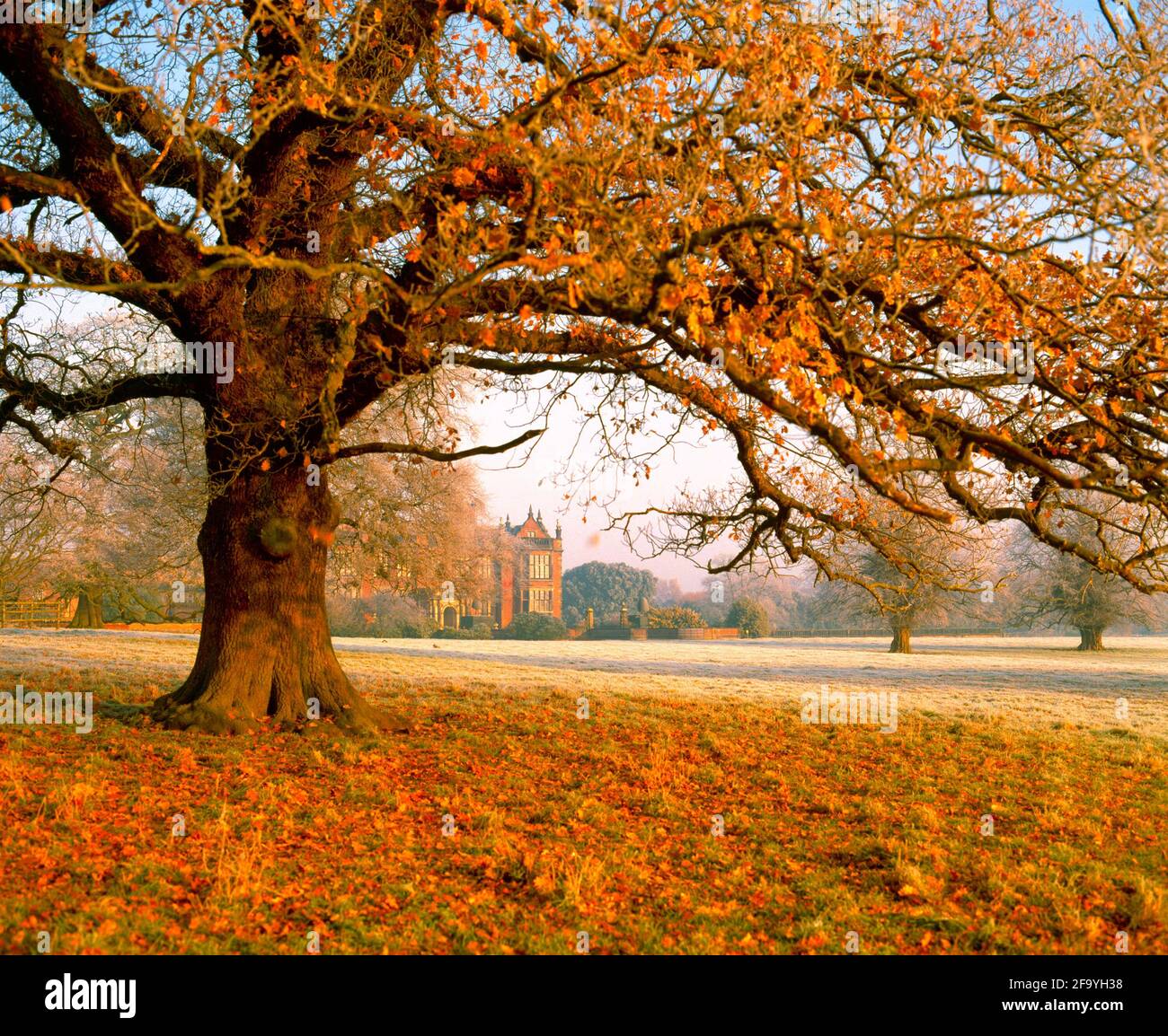 UK, England, Cheshire, Arley Hall and Gardens, autumn Stock Photo