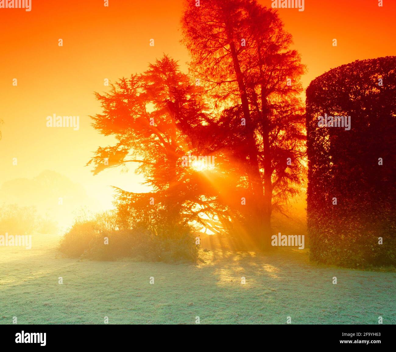 UK, England, Cheshire, Arley Hall and Gardens, sunrise, winter Stock