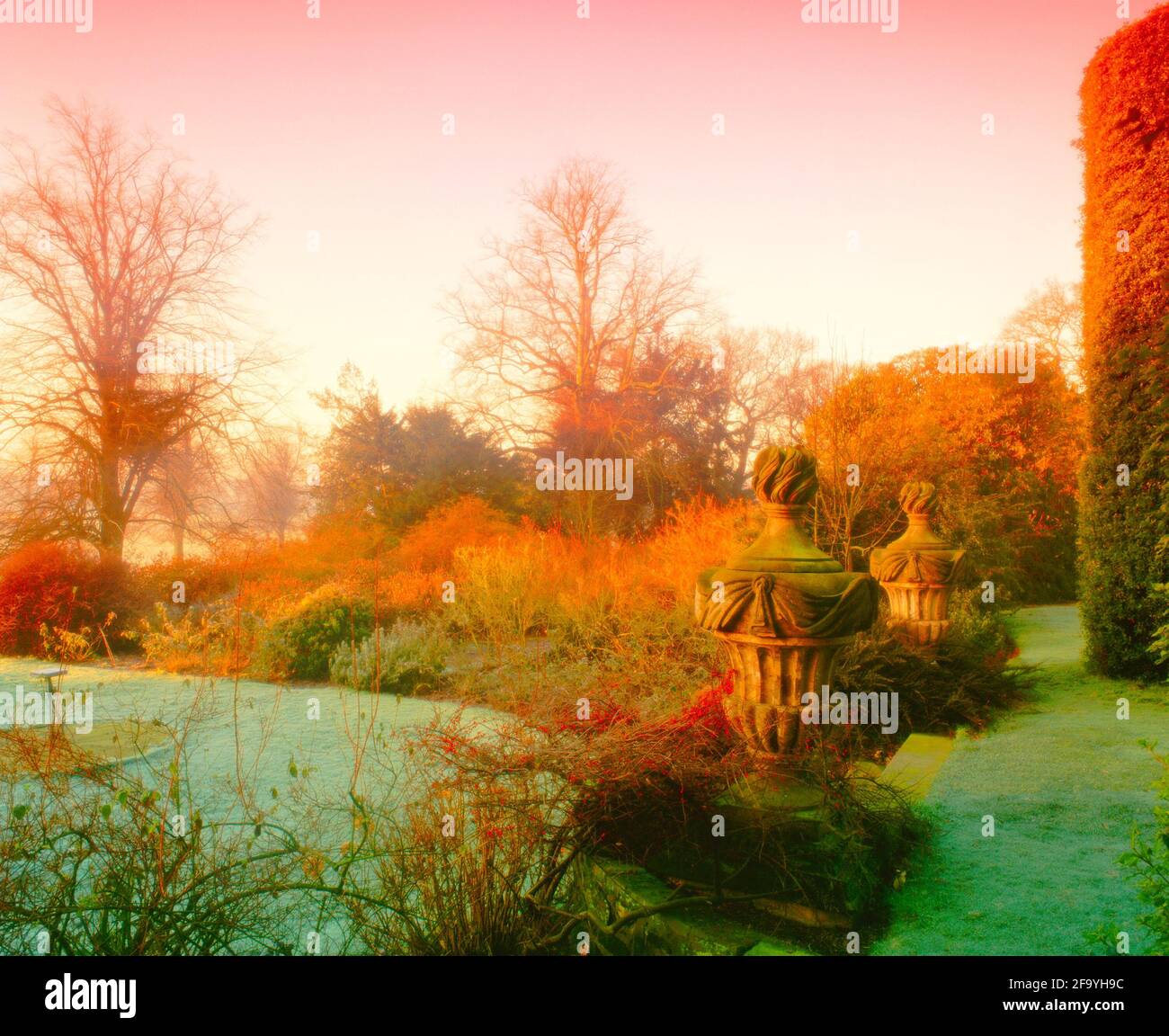 UK, England, Cheshire, Arley Hall and Gardens, shrubbery and topiary winter colours, dawn, Stock Photo