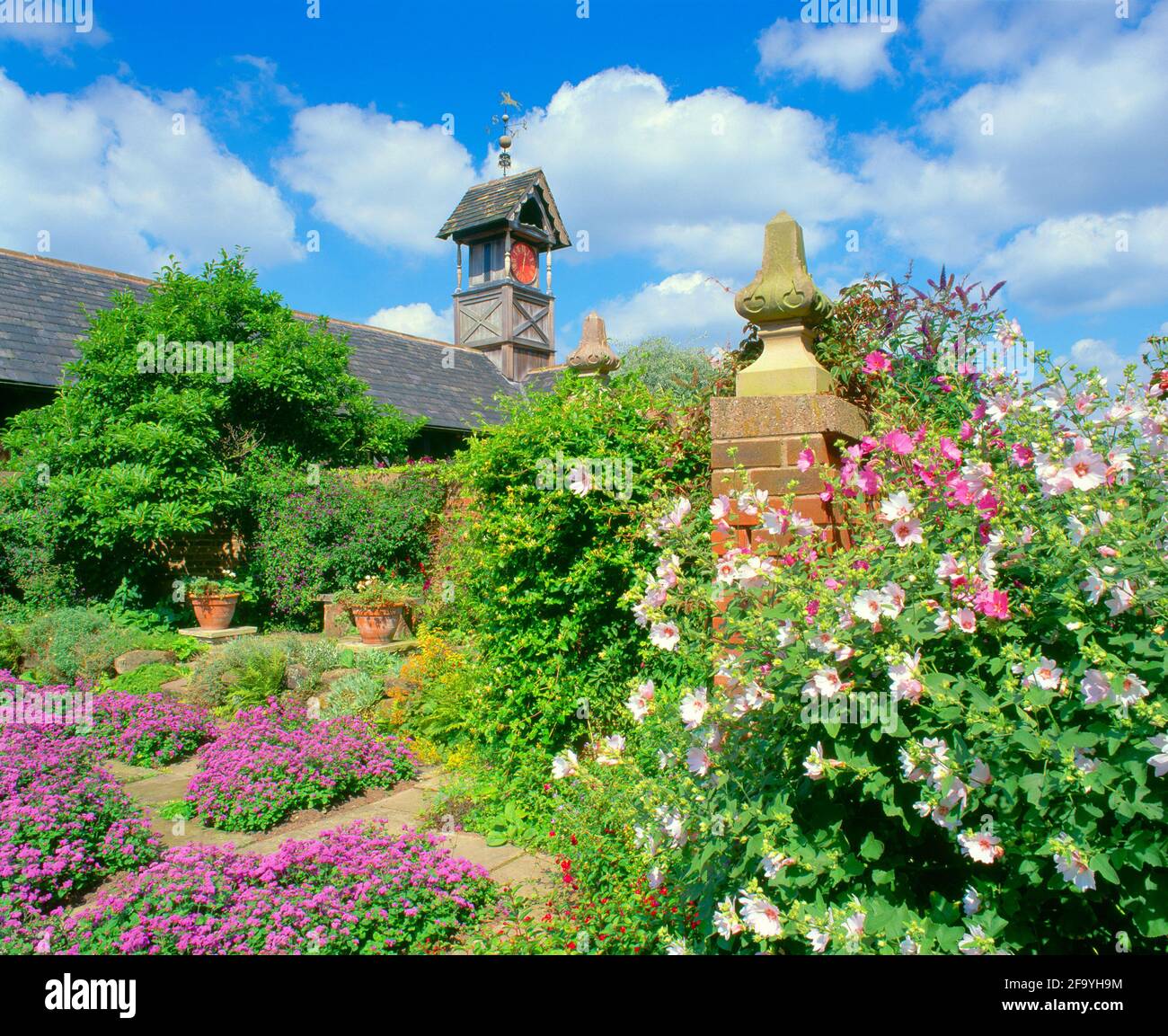 UK, England, Cheshire, Arley Hall and Gardens, clock tower and walled garden, summer, Stock Photo