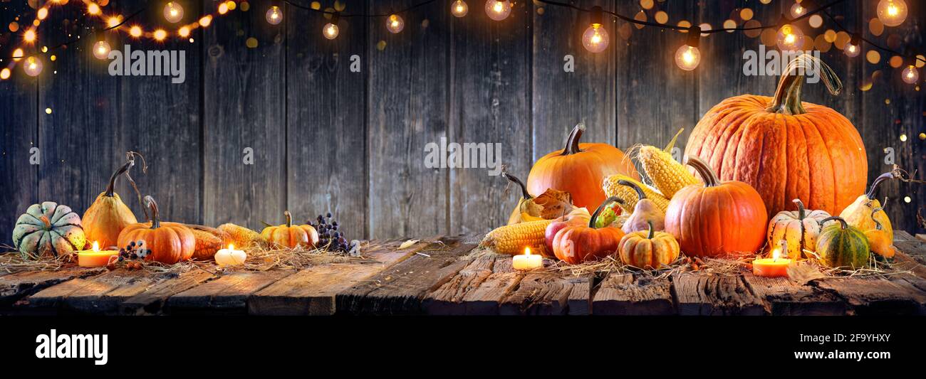 Thanksgiving - Pumpkins And Corncobs On Rustic Table Stock Photo - Alamy