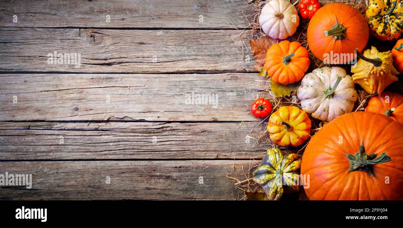 Thanksgiving Border - Pumpkins And On Aged Plank Stock Photo