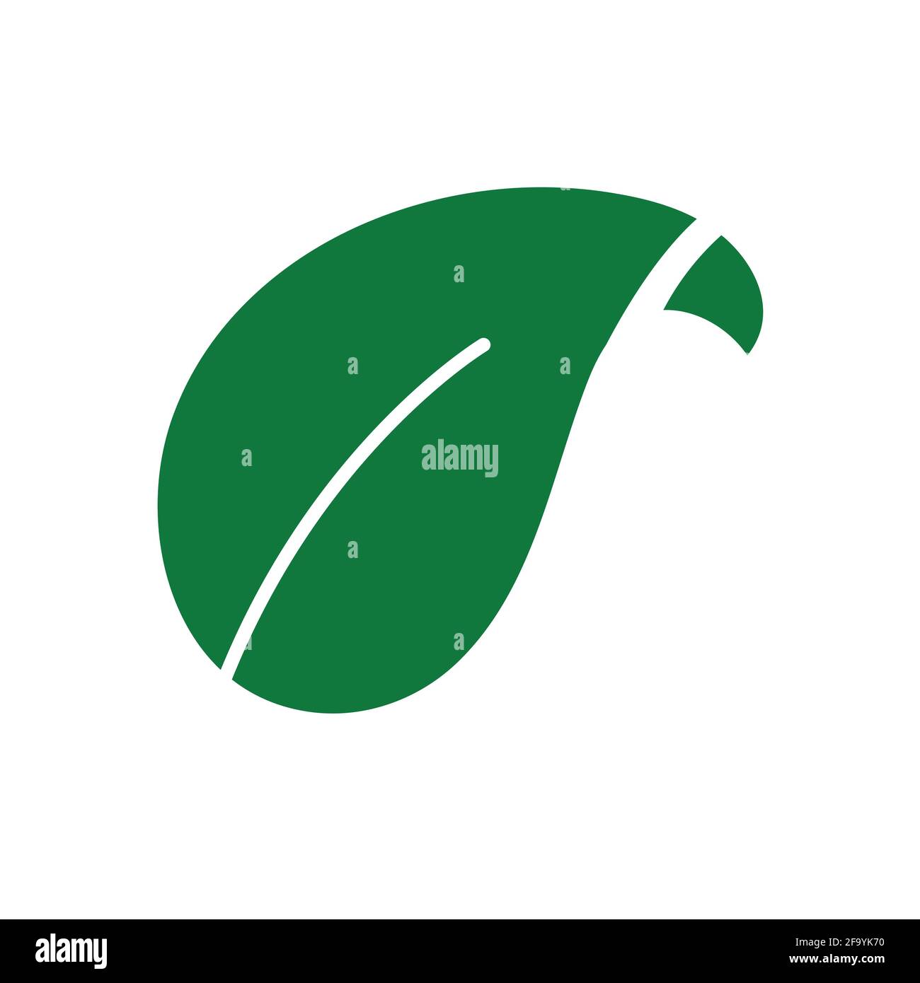 Eco leaves, logo, icon, template and design elements on white isolated ...
