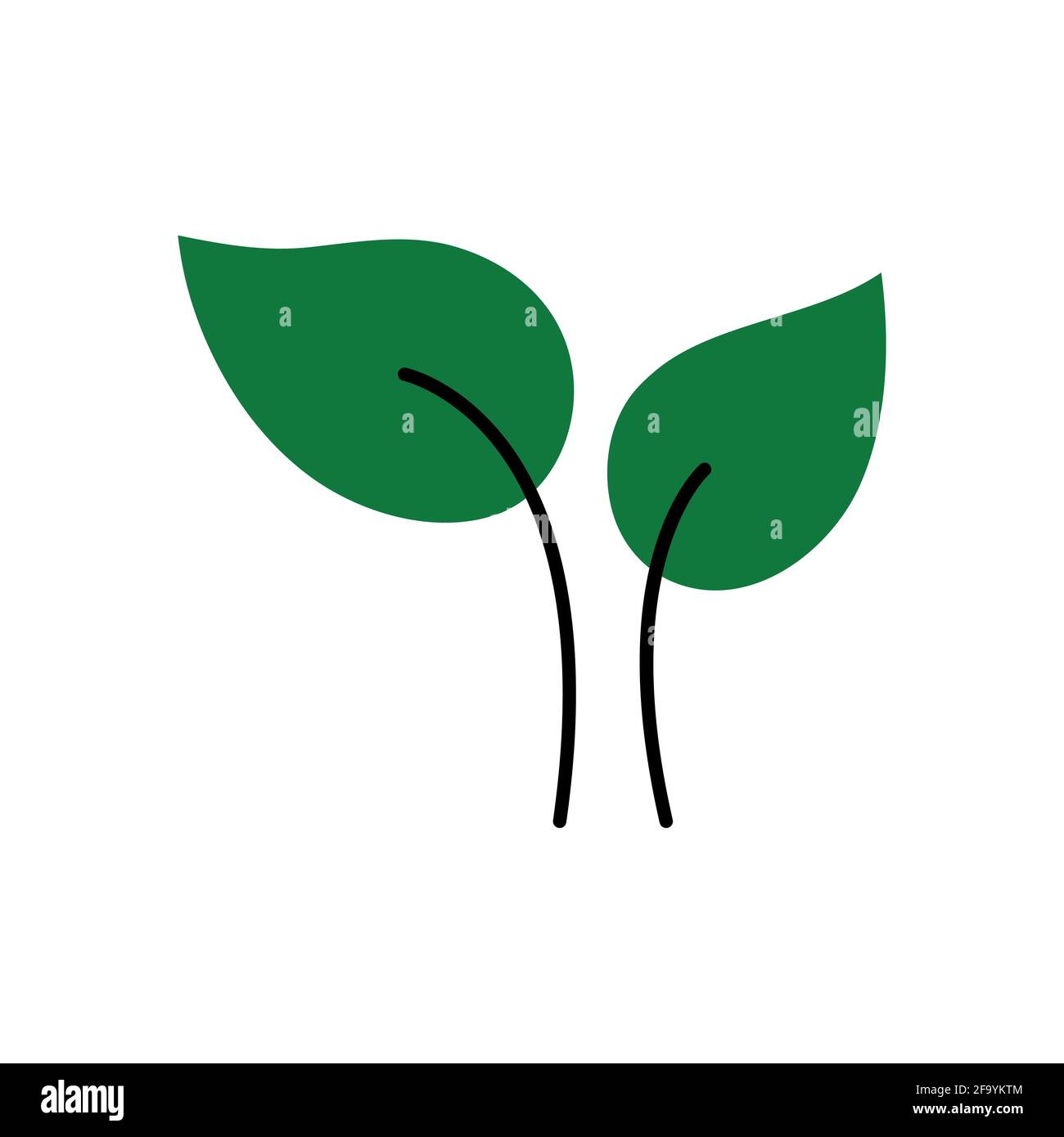 Eco leaves, logo, icon, template and design elements on white isolated ...