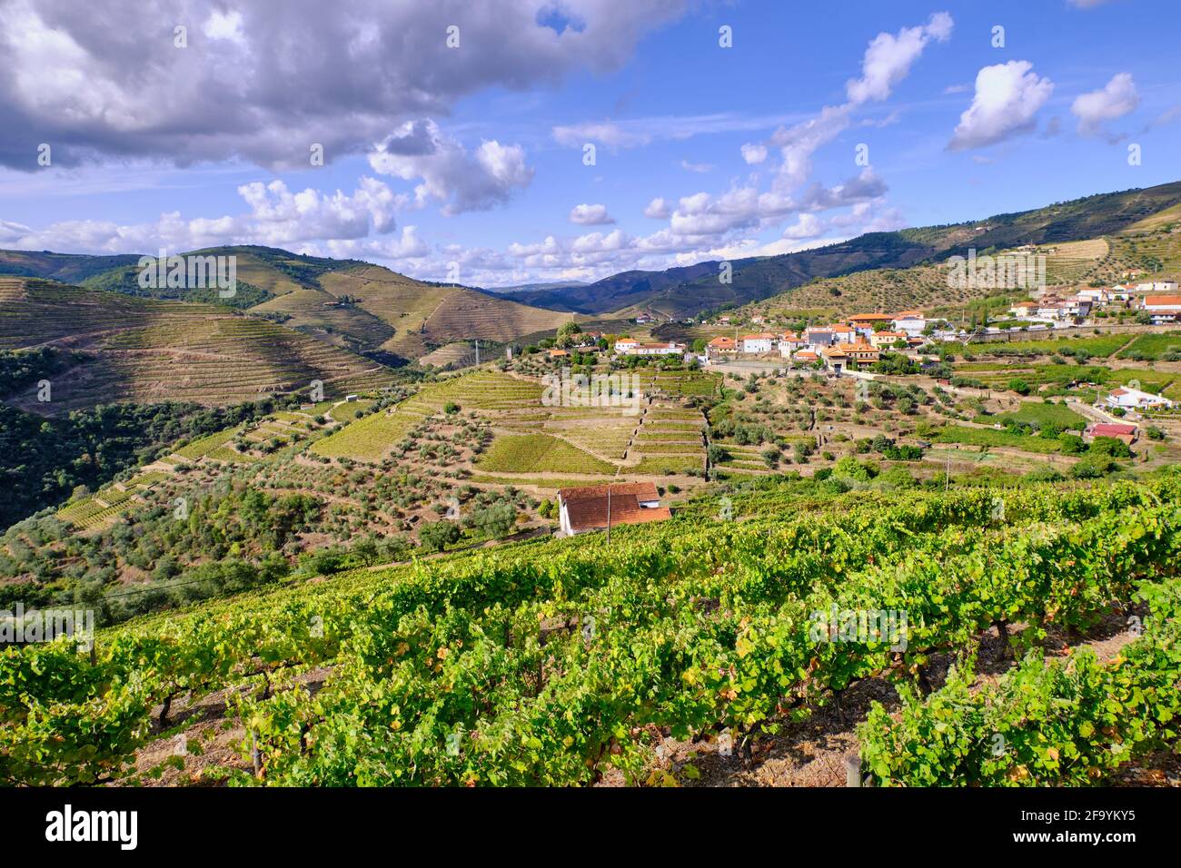 Vale de mendiz douro portugal hires stock photography and images Alamy