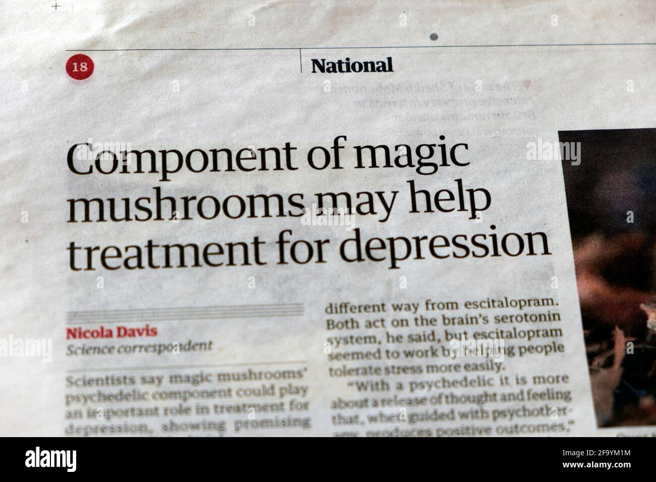 of magic mushrooms may help treatment for depression" mental