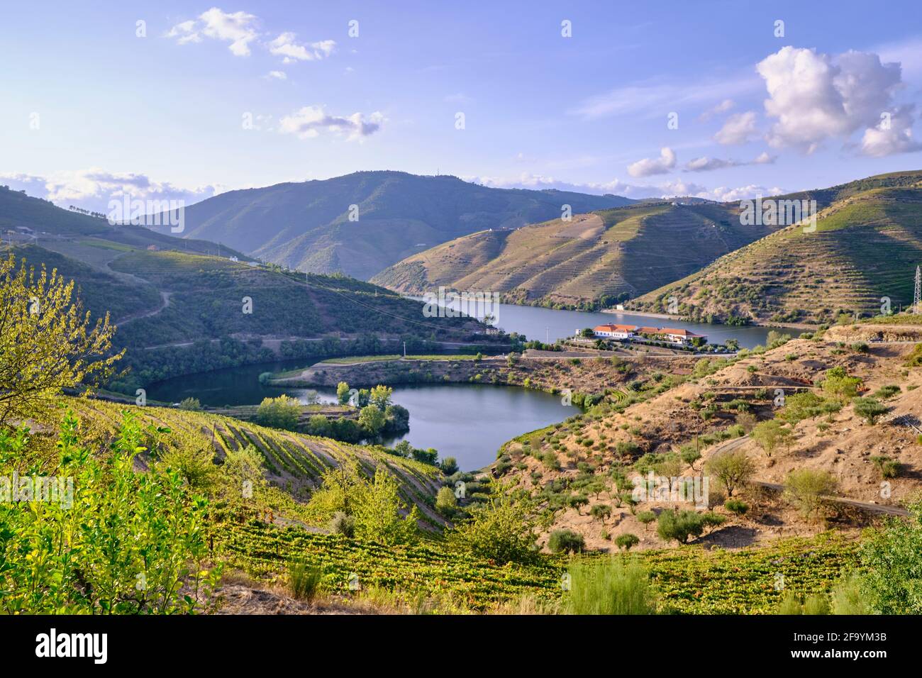 River Douro and Quinta do Tedo with the terraced vineyards along the river Tedo, a tributary of the Douro river. Alto Douro, A UNESCO World Heritage S Stock Photo