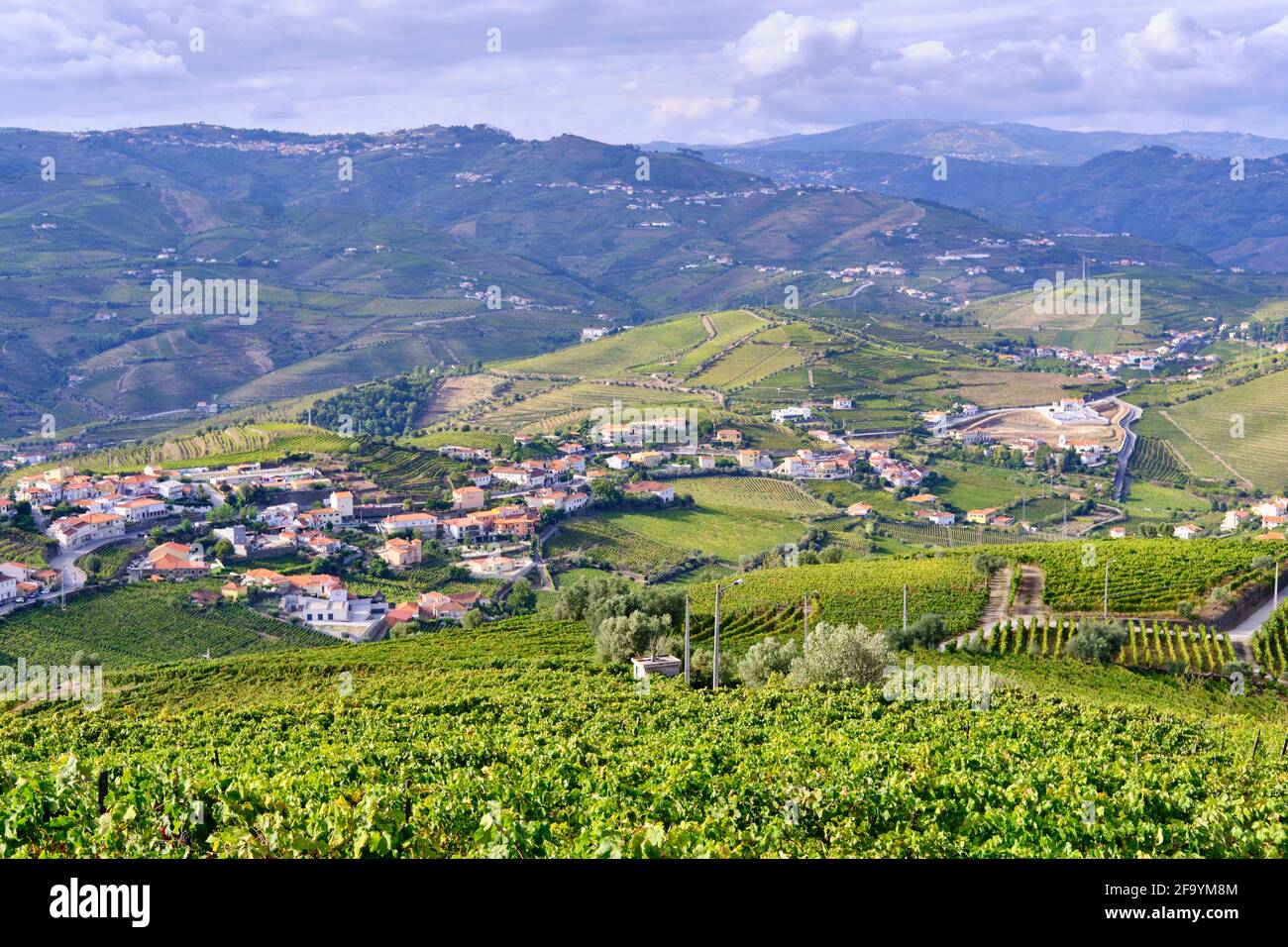 Terraced vineyards at Sao Joao de Lobrigos, Alto Douro, a Unesco World heritage site. Portugal Stock Photo