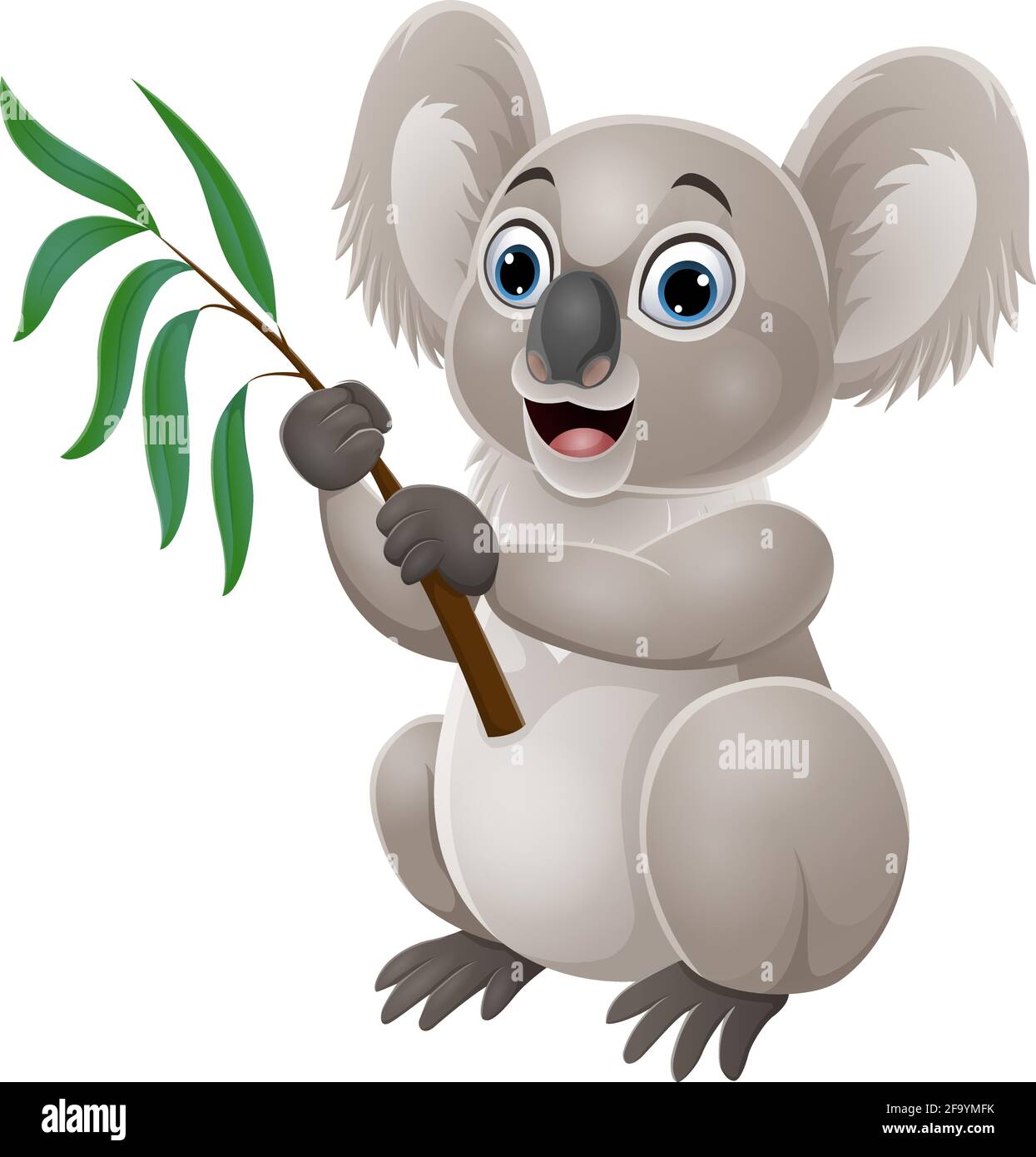 Cartoon koala holding a branch of eucalyptus tree Stock Vector Image ...