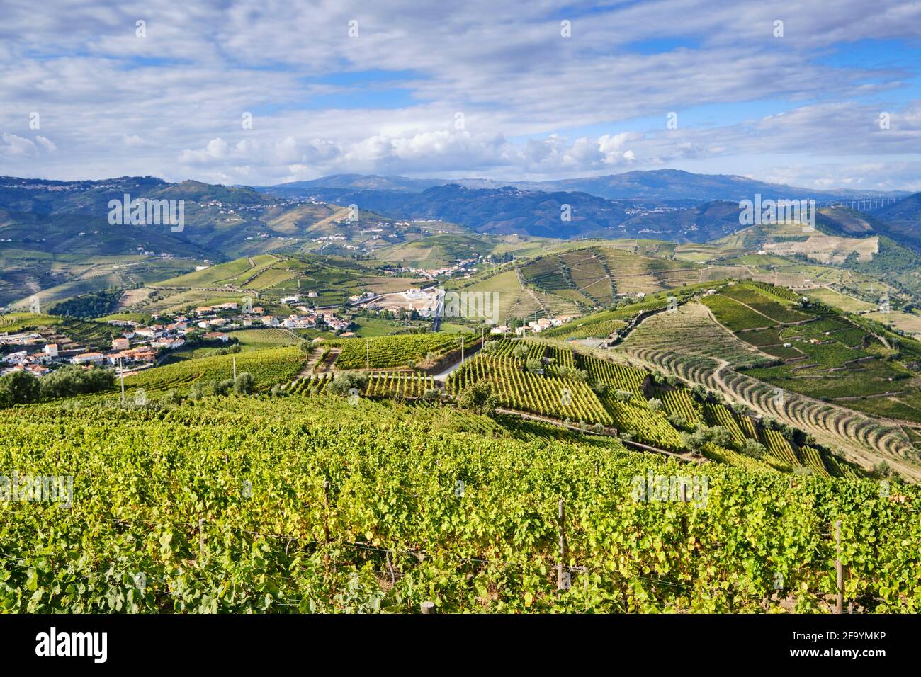 Terraced vineyards at Sao Joao de Lobrigos, Alto Douro, a Unesco World heritage site. Portugal Stock Photo